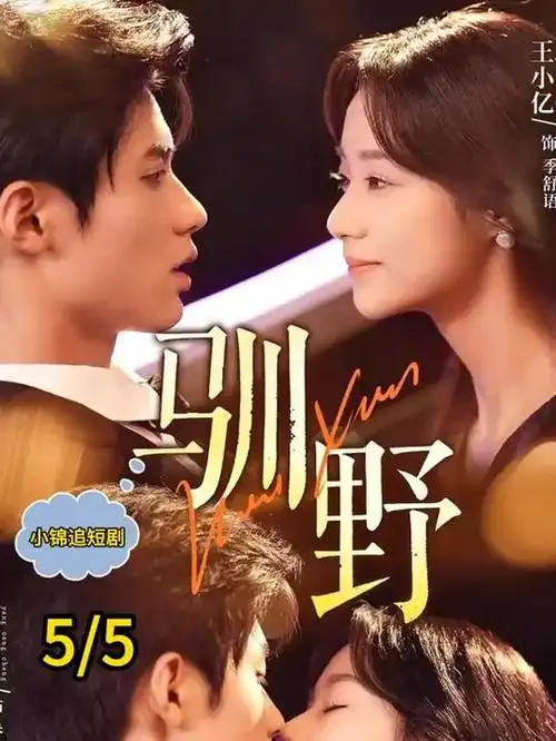 玫瑰的故事 剧集 2024 汪俊